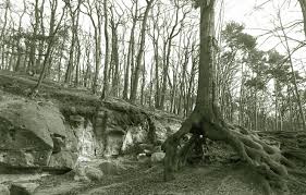 troja